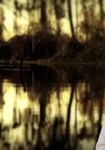 Swamp Murders S01:E05 - Drive Me Crazy