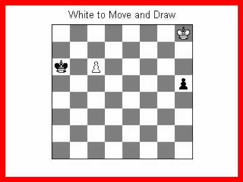 The Most Famous Chess Puzzle in Chess