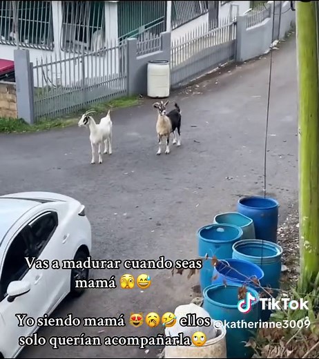 Divertidas Cabras en la Calle: ¿Madurarás Como Mamá?