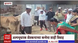Buldhana Shahi marriage: मुलीच्या लग्नात पशू-पक्ष्यांसह मुंग्यांनाही पंगत