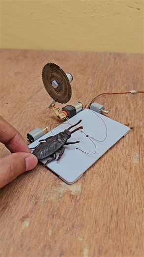 Science & Engineering on Instagram: "New Cockroach trap with blade arm #engineering #trap #bug trap #funny #cockroach"