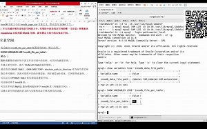 15.4.1.MySQL数据库的InnoDB常用表空间