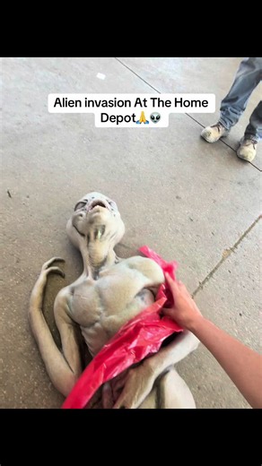 they took over another store💔😂 #fyp #viral #alien #prank | aliens