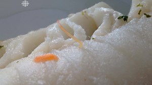 This herring worm wriggled out from a filet of cod bought in B.C. From poke to ceviche, raw fish dishes are tasty but watch for worms and parasites, warns experts http://www.cbc.ca/1.4076301 | CBC Vancouver