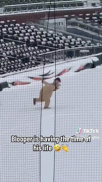 Blooper Enjoys Snow Day with Atlanta Braves