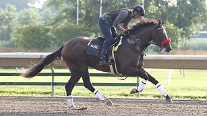 Haskell Stakes 2021: Hot Rod Charlie looking for his 'deserved' Grade 1 win