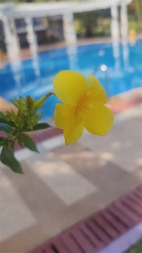 Emilord C. Peñaflor on Instagram: "#DailyDevotion #Proverbs3v5to6"