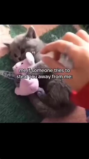 @cattos_003 on Instagram: "日本利用压电瓷砖将脚步转化为电能。这些瓷砖捕捉来自你脚步的动能。当你行走时，你的重量和动作会对瓷砖产生压力。瓷砖会轻微弯曲，从而产生机械应力。瓷砖内部的压电材料将这种应力转化为电能。每一步都会产生少量电荷，而数百万步结合在一起就能产生足够的电力来驱动 LED 灯、数字显示屏和传感器。在像涩谷车站这样繁忙的地方，每天大约有 240 万个脚步为这一系统作出贡献。这些电能可以被储存或立即使用，从而减少对传统电力来源的依赖，并支持可持续的城市基础设施。这种方法将日常运动转化为实用的可再生能源 #日本 #知识 #事实 #你知道吗 #推荐 科技 创新 历史 技术 实验 热门"