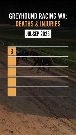 12K views · 132 reactions |  The cost of a “sport” measured in lives...