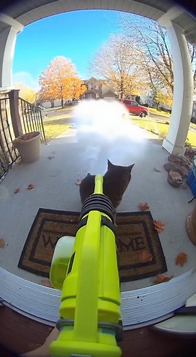 Ever seen a cat take control of a high-pressure water cannon? Meet Milo, the tabby who turned a quiet suburban morning into absolute chaos! Watch as three dogs panic, sliding across the driveway, water spraying everywhere, and the homeowner bursts outside shouting in total disbelief. Every splash, slip, and dramatic reaction is captured in ultra-realistic fisheye doorbell camera footage. It’s the perfect mix of hilarious cat antics, chaotic water battles, and viral fun — guaranteed to make you l