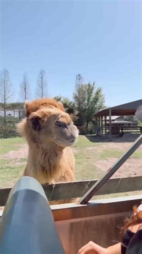 Take a journey to Central Florida! | Visit Central Florida