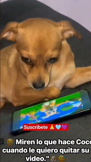 amooo 🥰 #viral #parati #viralshorts #funny #humor