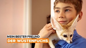 Mein bester Freund: der Wüstenfuchs