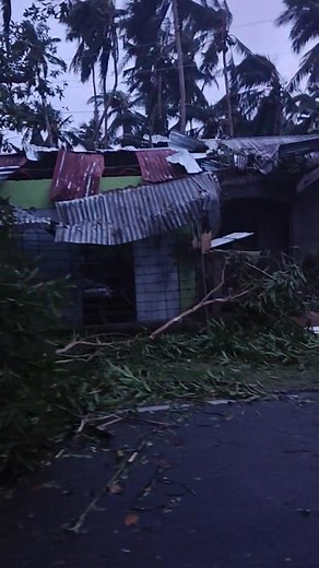 Leslie Baron - Purca on Reels