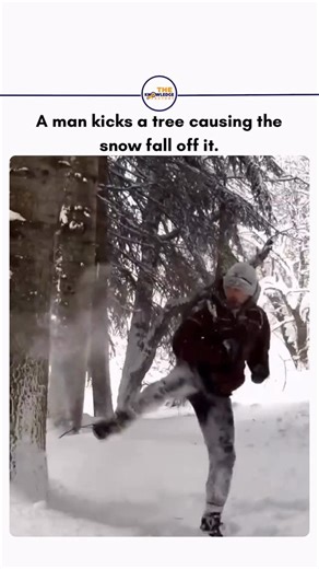 The world is here on Instagram: "A man standing in a snow-covered forest kicks a tree, triggering a sudden cascade of snow from the branches above. The built-up snow falls in a dense cloud, briefly engulfing the area around him and his dog. The moment captures how heavy snowfall can accumulate on trees and come down all at once when the branches are disturbed, creating a dramatic but natural winter scene. Source: u/navgane_og69 on Reddit 𝘋𝘪𝘴𝘤𝘭𝘢𝘪𝘮𝘦𝘳📢: 𝘛𝘩𝘦 𝘳𝘦𝘱𝘳𝘰𝘥𝘶𝘤𝘦𝘥 𝘤𝘰𝘯