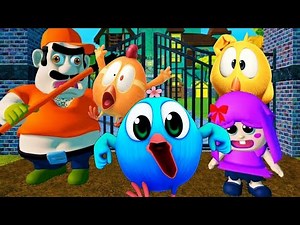 Chicky chukpa and Pingoo bird Plays | baby Polly House Roblox | #pingoobird #chukpa #chicky