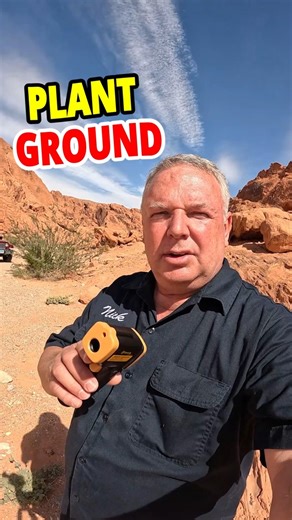 Infrared Thermometer in the Desert – Plant Temp vs Ground Temp