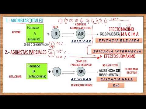 TOPIC 5 - PHARMACODYNAMICS: EFFICACY of Drugs, TOTAL AGONIST and PARTIAL AGONIST