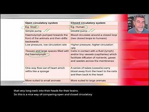 Year 11 Biology Module 2 Open and Closed Circulatory Systems