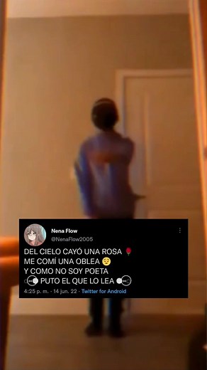 Nena Flow on TikTok