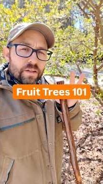 Fruit Trees 101 #fruittrees #gardening #homeorchard #growyourownfood