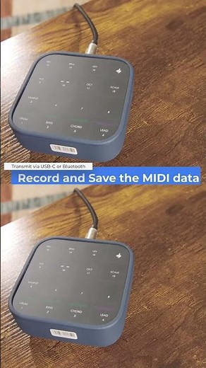 Unleash Your Musical Creativity with MEDO! I Donner MEDO EP02