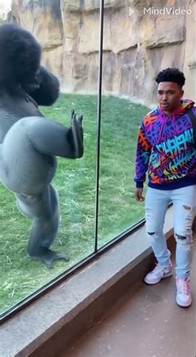 Fortnite Fan Gets The MOST Disgusting Revenge! 💥 #ZooFails