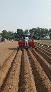 4 Row Automatic Potato Planter | Tractor Potato Planting Machine Demo 2025🥔🚜 #shorts