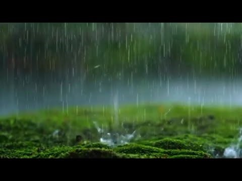Pure Gentle Rain Sounds for Total Deep Sleep | Instantly Calm Mind, Fall Asleep Fast