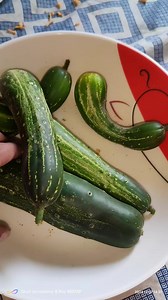 দুঃখের বিষয় গাছগুলো মারা গেছে😥 | Santa Cooking Studio