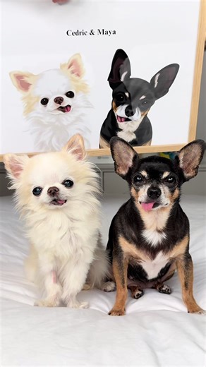 Adorable Chihuahua Artwork Captured Perfectly