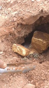 1.4M views · 4.9K reactions | finding treasure, gold mininng #hunter #shorts #tricks #tips #treasure #hunting #findgold | HOME GOLD | Facebook
