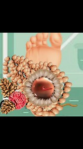 49K views · 179 reactions | Feet #shortsreels #animation #asmrvideo #asmr #animationvideo | Zig Zag ASMR | Facebook