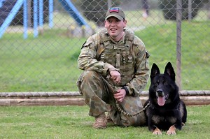 3.3K views · 136 reactions | Ready, set, RUMBLE! Military Working Dog 'Khan' loves the taste of senior officer! Great to see Commander Combat Support Group, Air Commodore Ken Robinson, taking the opportunity to feel the full force of No. 3 Security Forces Squadron's 'Operational Readiness Training' at RAAF Base Edinburgh in Adelaide, South Australia. #AusAirForce #MilitaryWorkingDogs | Royal Australian Air Force | Facebook