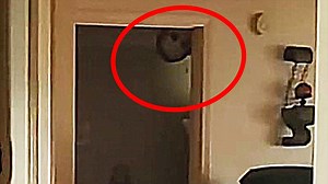 32K views · 850 reactions | 10 Scary Videos of Encounters During Paranormal Investigations | A Mysterious Videos | Facebook