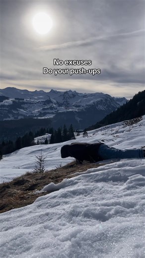 Beginner's Guide to Calisthenics Workouts