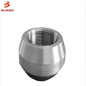 [Hot Item] ASME B16.11 Stainless Steel F316L 3000# Pipe Fittings Threadolet
