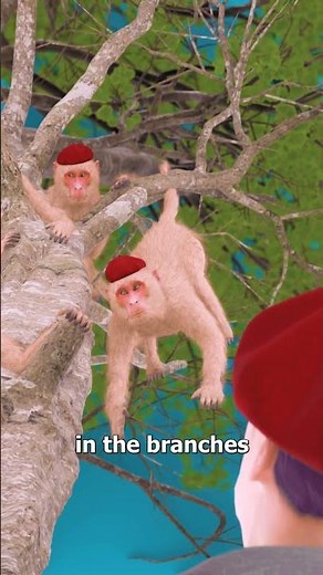 Monkey See, Monkey Do 🤔 (fable)