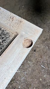 1.1M views · 3.2K reactions | The Secret to Smooth Sliding Windows, A DIY Guide, Home DIY Tips and Tricks #diy #woodworking #SlidingWindowWheels #DIYHomeImprovement #HomeRepairHacks #SlidingWindowInstallation #HomeDIY | Asep Hidayat | Facebook