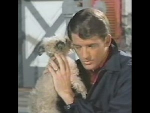 Petticoat Junction Star Mike Minor Dies