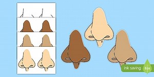 Nose Display Cut Outs