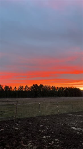 Awesome sunset tonight.