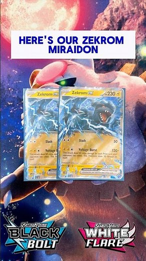 Zekrom ex W/ Miraidon Deck | Black Bolt & White Flare | Pokemon TCG