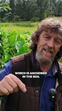 What does it really mean to work with nature? #permaculture