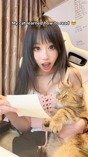 MEOW 🥹