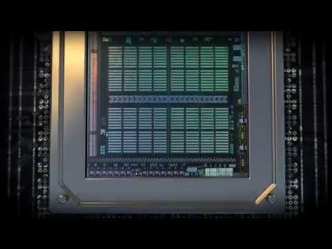 The Journey of Maxwell