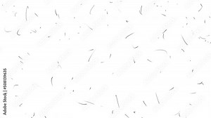 Animation with a texture of small black scratches on a white screen. 4k film damage effect for filters and social media stories. Video with retro scratches for overlay.