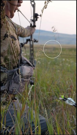 The Shovel Buck - Epic Whitetail Archery Hunt