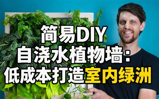 [中配]简易DIY自浇水植物墙：低成本打造室内绿洲 - SerpaDesign