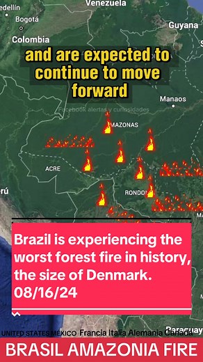 Incendio en Brasil: Crisis ambiental en la Amazonía